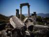 turkey2013109_small.jpg