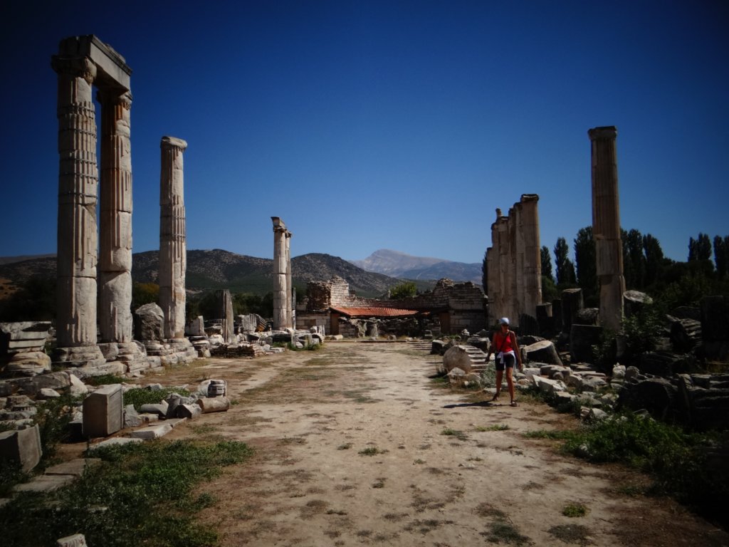 turkey2013111.jpg