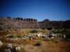 turkey2013117_small.jpg