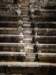 turkey2013119_small.jpg