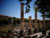turkey2013125_small.jpg
