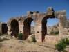 turkey2013126_small.jpg