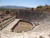 turkey2013129_small.jpg