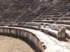 turkey2013131_small.jpg