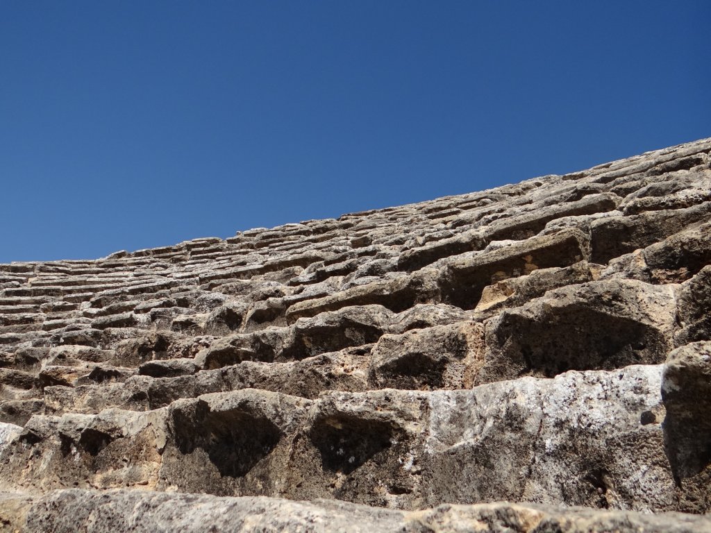 turkey201346.jpg