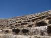 turkey201346_small.jpg