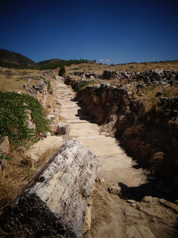 turkey201348.jpg
