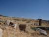 turkey201349_small.jpg