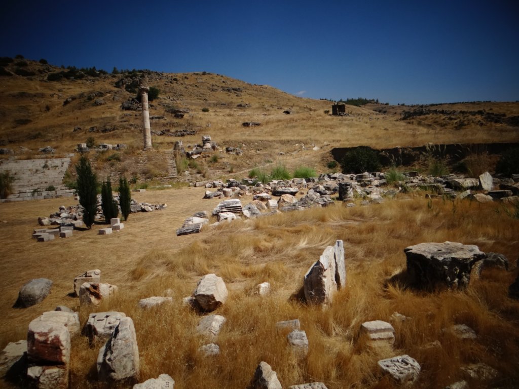 turkey201353.jpg