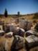 turkey201354_small.jpg
