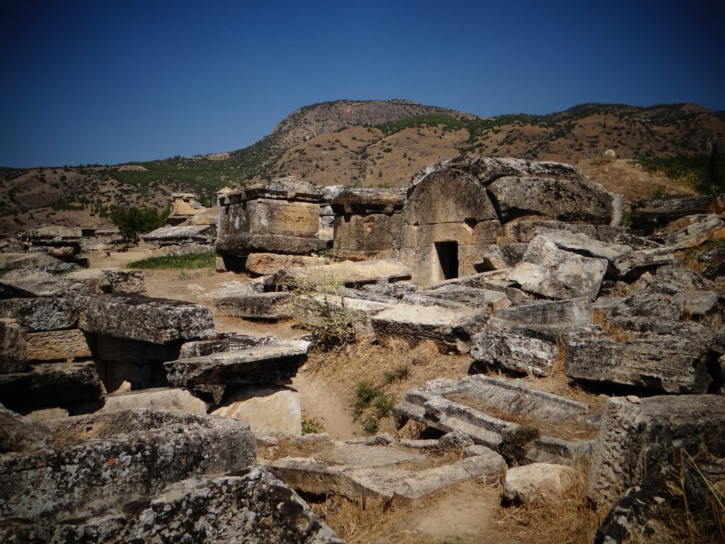 turkey201366.jpg