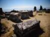 turkey201371_small.jpg