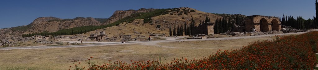 turkey201372.jpg