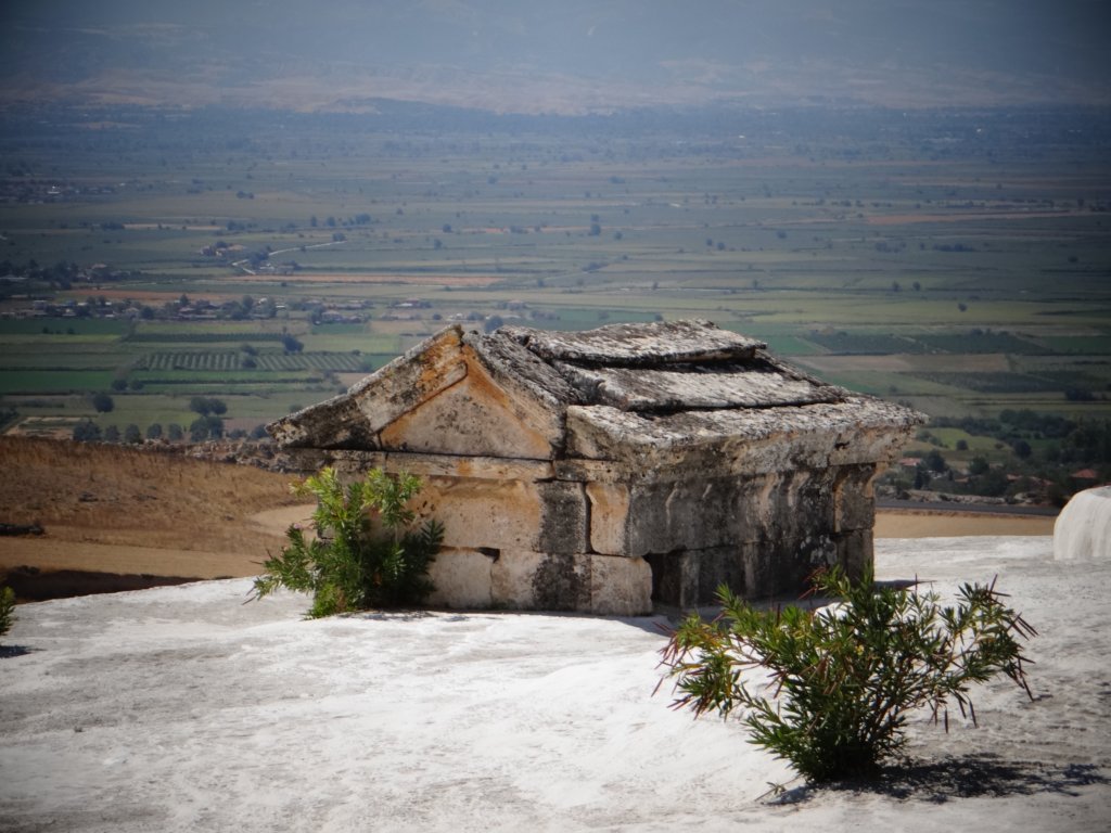 turkey201374.jpg