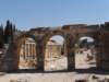 turkey201376_small.jpg