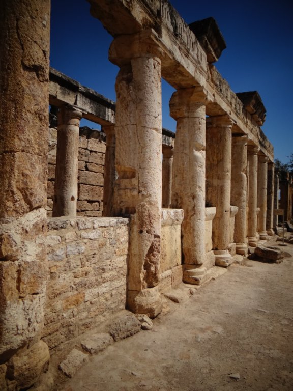 turkey201378.jpg