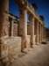 turkey201378_small.jpg