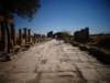 turkey201380_small.jpg
