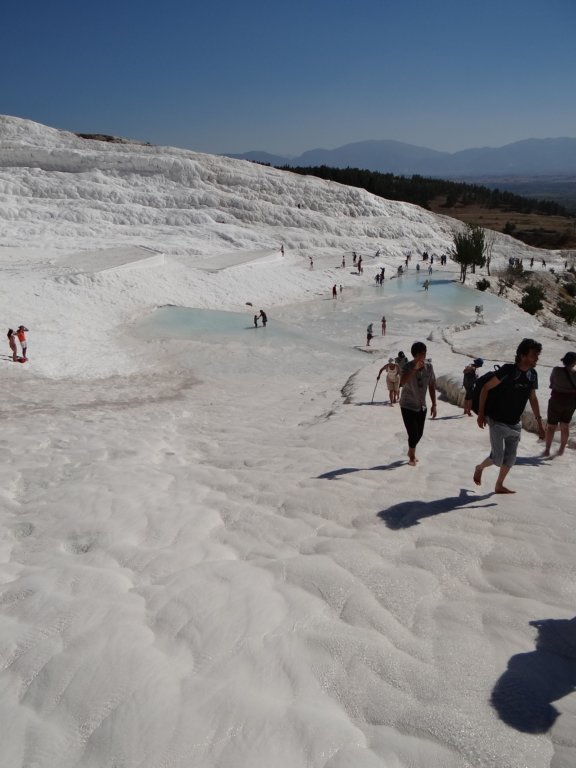 turkey201388.jpg