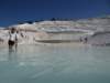turkey20138_small.jpg