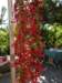 turkey201390_small.jpg