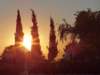 turkey201394_small.jpg