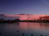 turkey201395_small.jpg