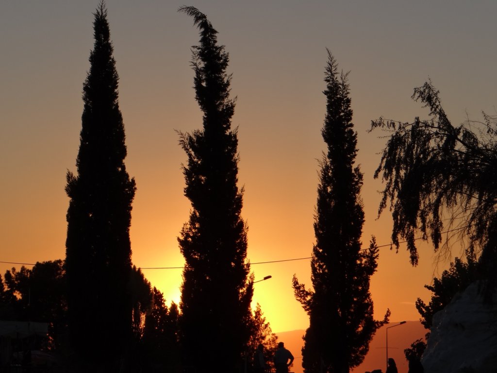 turkey201396.jpg