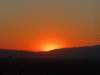 turkey201398_small.jpg