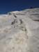 turkey20139_small.jpg