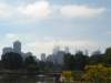 newenglandusa94_small.jpg