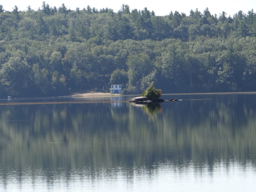 newenglandusa48.jpg