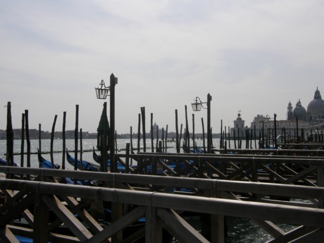 pasquaavenezia71.jpg