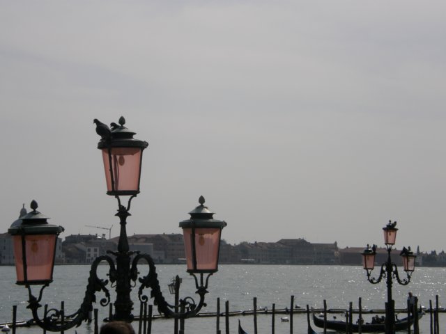 pasquaavenezia73.jpg