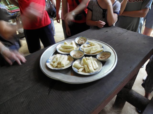 vietnam2010cuchielaocai45.jpg