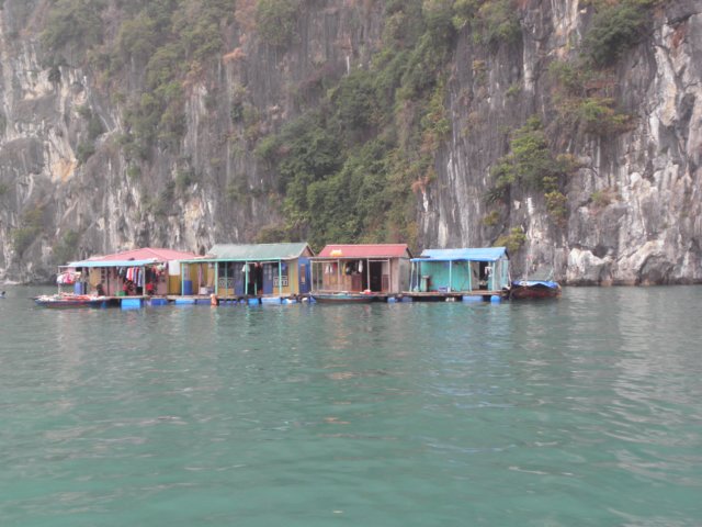 vietnam2010halongbay106.jpg