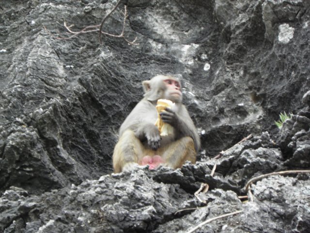 vietnam2010halongbay134.jpg