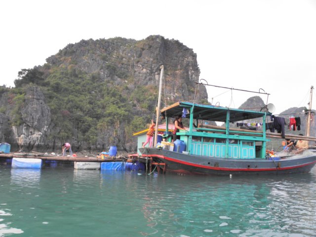 vietnam2010halongbay46.jpg