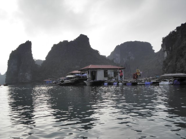 vietnam2010halongbay47.jpg