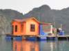 vietnam2010halongbay53_small.jpg