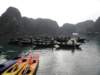 vietnam2010halongbay55_small.jpg