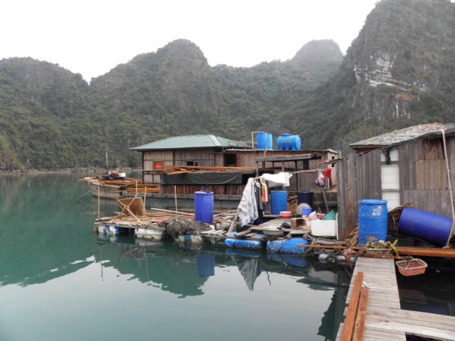 vietnam2010halongbay62.jpg