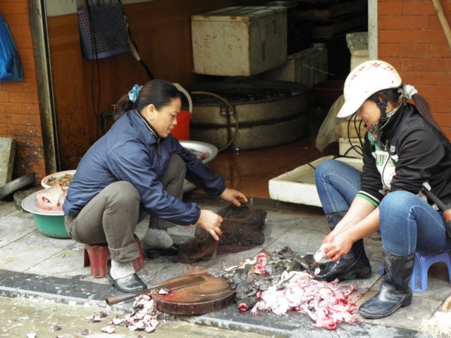 vietnam2010hanoi41.jpg