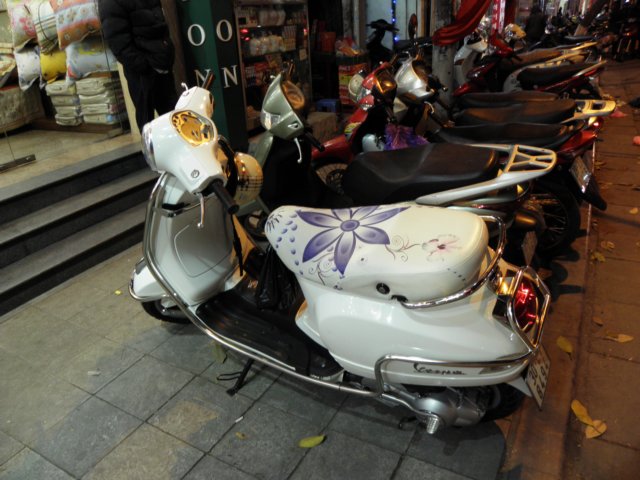vietnam2010hanoi71.jpg