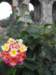 vietnam2010hu46_small.jpg