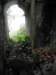 vietnam2010hu60_small.jpg