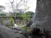 vietnam2010hu61_small.jpg