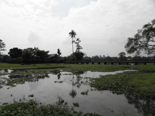 vietnam2010hu85.jpg