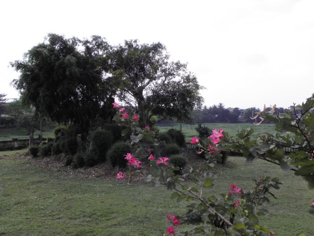 vietnam2010hu87.jpg