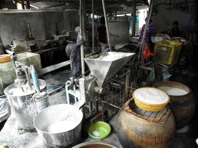 vietnam2010mekongdelta100.jpg